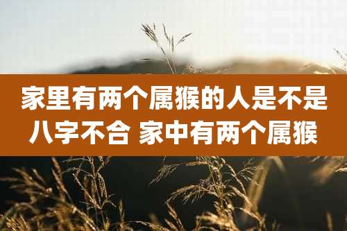 家里有两个属猴的人是不是八字不合 家中有两个属猴