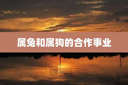 属兔和属狗的合作事业