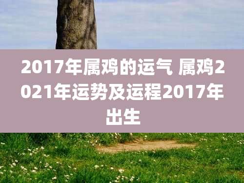 2017年属鸡的运气 属鸡2021年运势及运程2017年出生