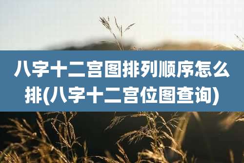 八字十二宫图排列顺序怎么排(八字十二宫位图查询)