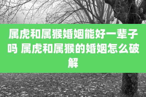 属虎和属猴婚姻能好一辈子吗 属虎和属猴的婚姻怎么破解