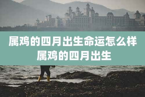 属鸡的四月出生命运怎么样 属鸡的四月出生