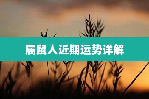 属鼠人近期运势详解