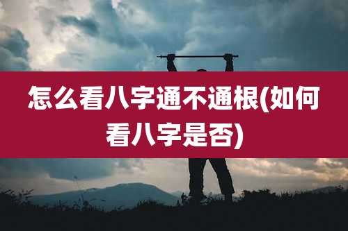 怎么看八字通不通根(如何看八字是否)