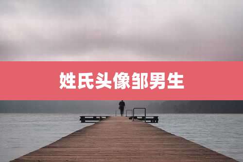 姓氏头像邹男生