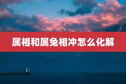 属相和属兔相冲怎么化解