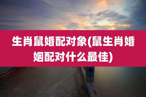 生肖鼠婚配对象(鼠生肖婚姻配对什么最佳)