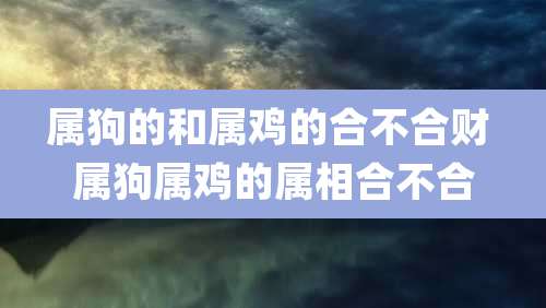 属狗的和属鸡的合不合财 属狗属鸡的属相合不合