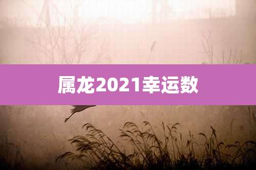 属龙2021幸运数