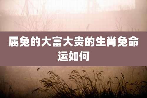 属兔的大富大贵的生肖兔命运如何