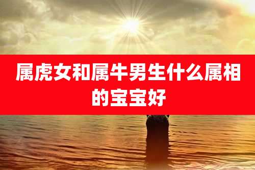 属虎女和属牛男生什么属相的宝宝好