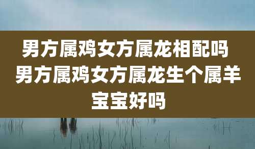 男方属鸡女方属龙相配吗 男方属鸡女方属龙生个属羊宝宝好吗