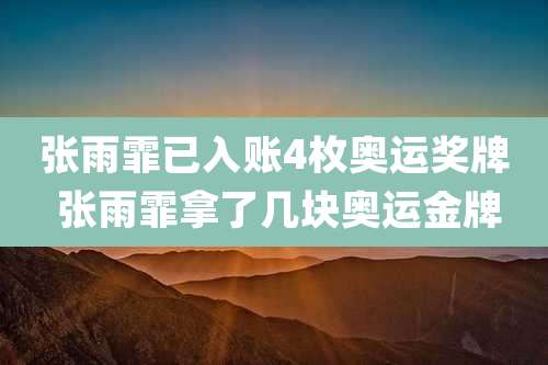 张雨霏已入账4枚奥运奖牌 张雨霏拿了几块奥运金牌
