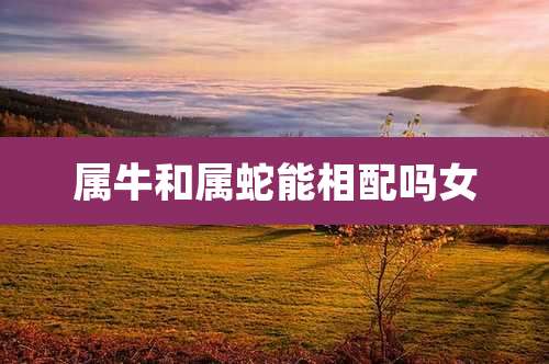 属牛和属蛇能相配吗女