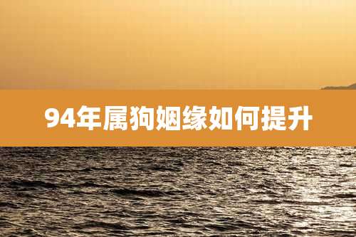 94年属狗姻缘如何提升