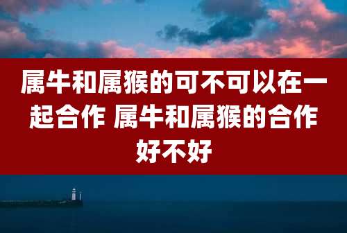 属牛和属猴的可不可以在一起合作 属牛和属猴的合作好不好