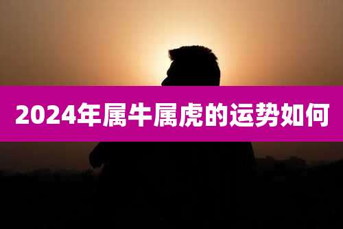 2024年属牛属虎的运势如何