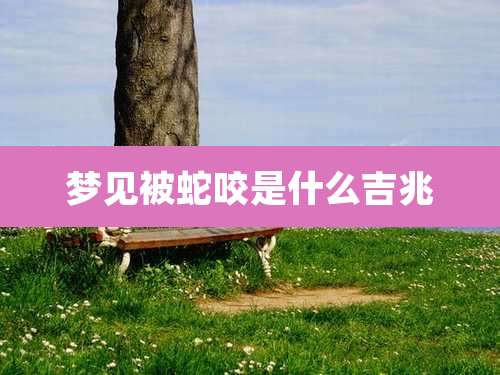 梦见被蛇咬是什么吉兆