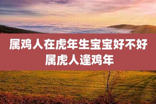 属鸡人在虎年生宝宝好不好 属虎人逢鸡年