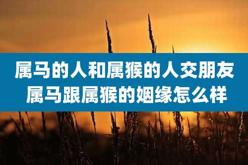 属马的人和属猴的人交朋友 属马跟属猴的姻缘怎么样