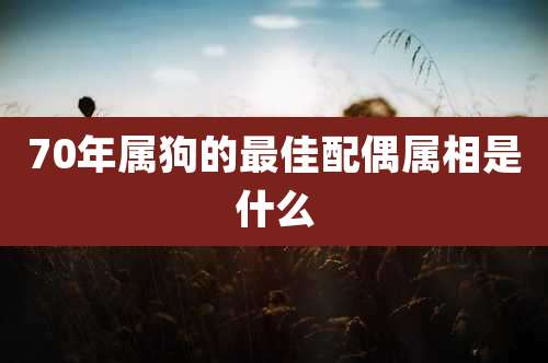 70年属狗的最佳配偶属相是什么