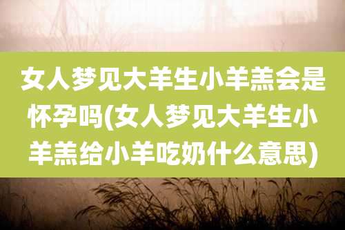 女人梦见大羊生小羊羔会是怀孕吗(女人梦见大羊生小羊羔给小羊吃奶什么意思)
