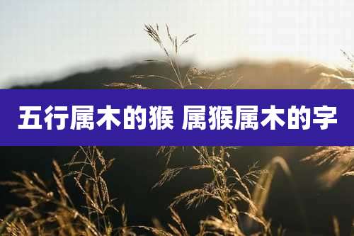 五行属木的猴 属猴属木的字