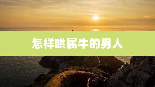 怎样哄属牛的男人
