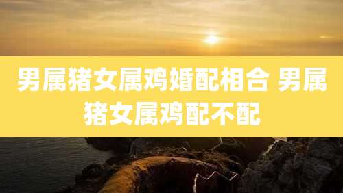 男属猪女属鸡婚配相合 男属猪女属鸡配不配