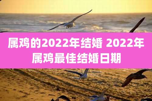属鸡的2022年结婚 2022年属鸡最佳结婚日期