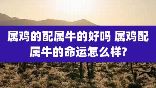 属鸡的配属牛的好吗 属鸡配属牛的命运怎么样?