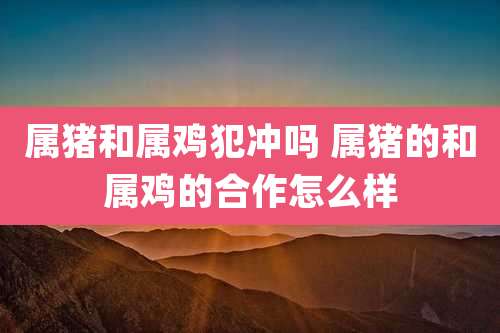 属猪和属鸡犯冲吗 属猪的和属鸡的合作怎么样