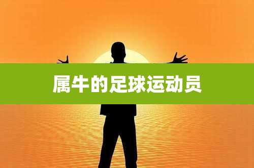属牛的足球运动员