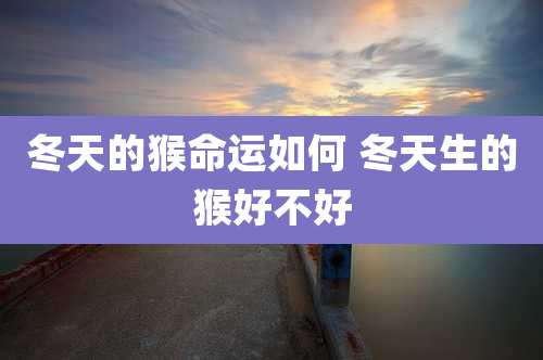 冬天的猴命运如何 冬天生的猴好不好