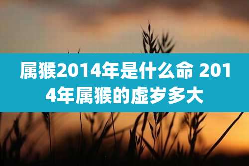 属猴2014年是什么命 2014年属猴的虚岁多大