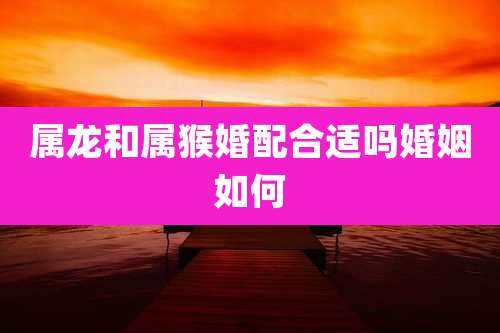 属龙和属猴婚配合适吗婚姻如何