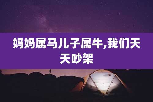 妈妈属马儿子属牛,我们天天吵架