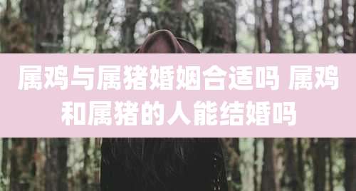 属鸡与属猪婚姻合适吗 属鸡和属猪的人能结婚吗