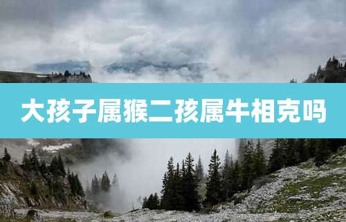 大孩子属猴二孩属牛相克吗