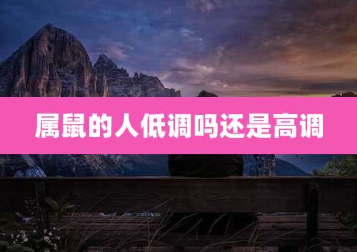 属鼠的人低调吗还是高调