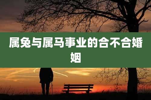 属兔与属马事业的合不合婚姻