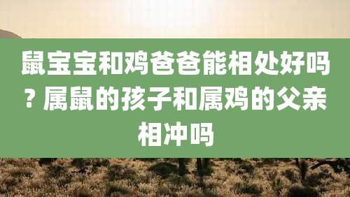 鼠宝宝和鸡爸爸能相处好吗? 属鼠的孩子和属鸡的父亲相冲吗