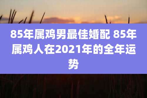 85年属鸡男最佳婚配 85年属鸡人在2021年的全年运势