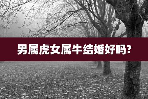 男属虎女属牛结婚好吗?