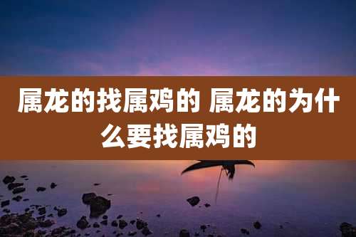 属龙的找属鸡的 属龙的为什么要找属鸡的