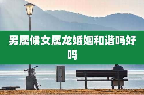 男属候女属龙婚姻和谐吗好吗