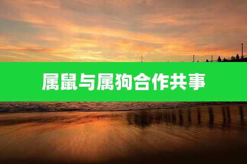 属鼠与属狗合作共事
