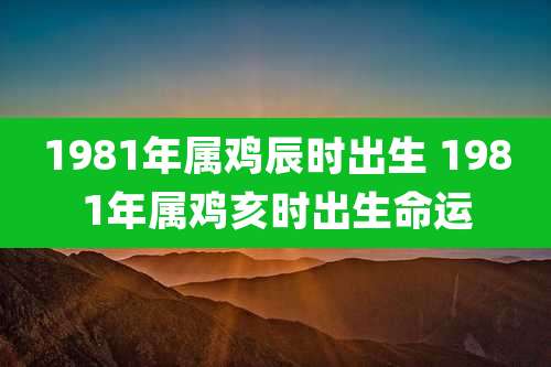 1981年属鸡辰时出生 1981年属鸡亥时出生命运