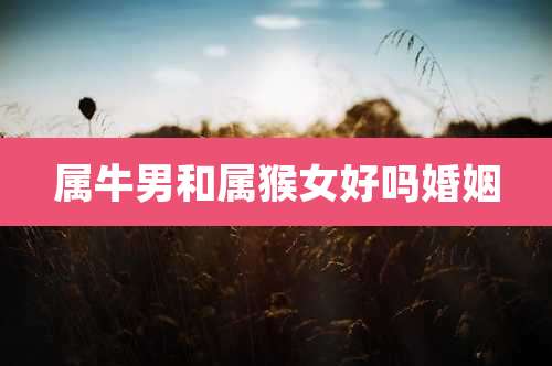 属牛男和属猴女好吗婚姻