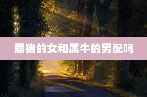 属猪的女和属牛的男配吗